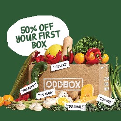Oddbox UK Review 2024: Rescuing Food, Reducing Waste, and Revolutionizing the Grocery Landscape